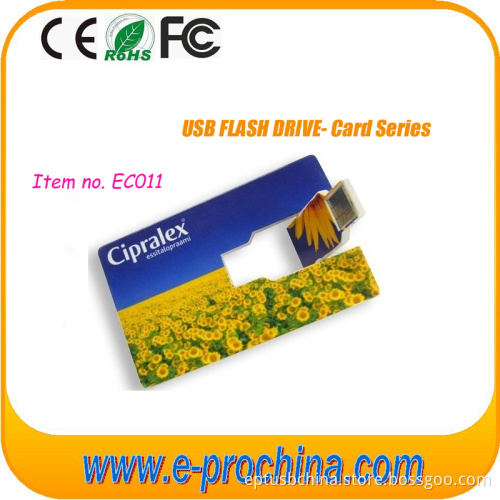 Promotional Custom Credit Card USB 2.0